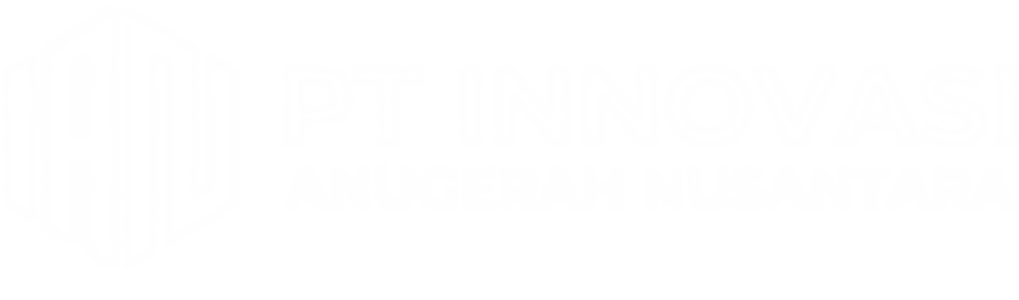 IAN Logo